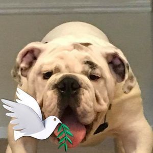 Meet your Posher, Luis